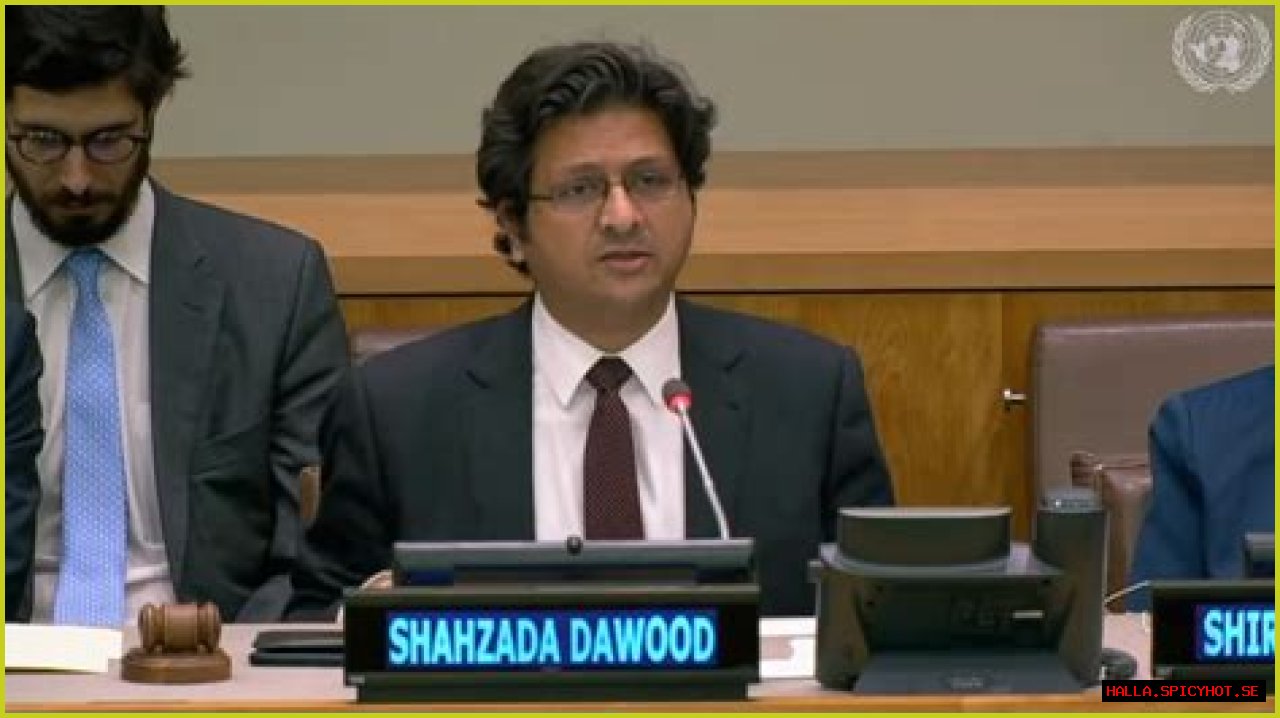 Meet Alina, The Daughter Of Prominent Business Tycoon Shahzada Dawood